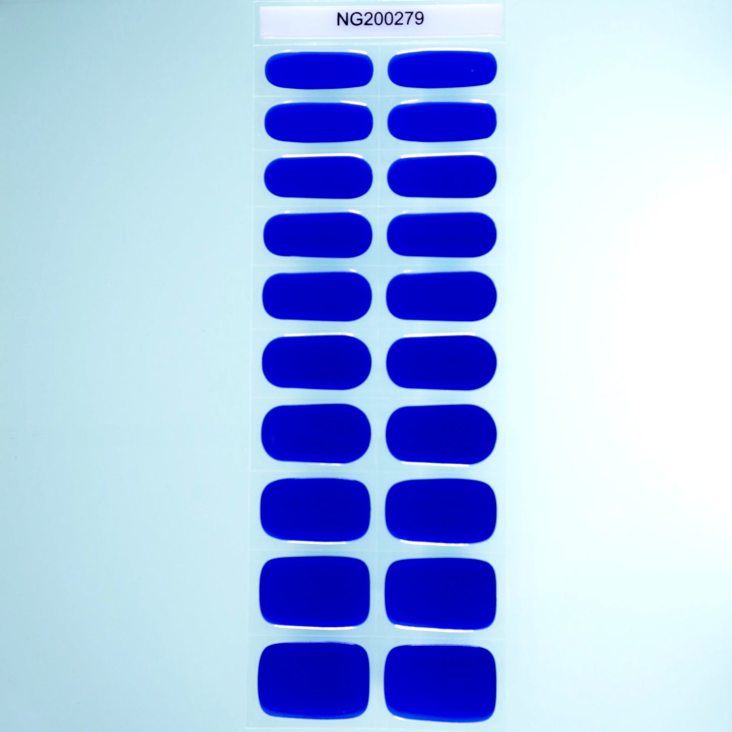Bright-Blue-YellowSnails2