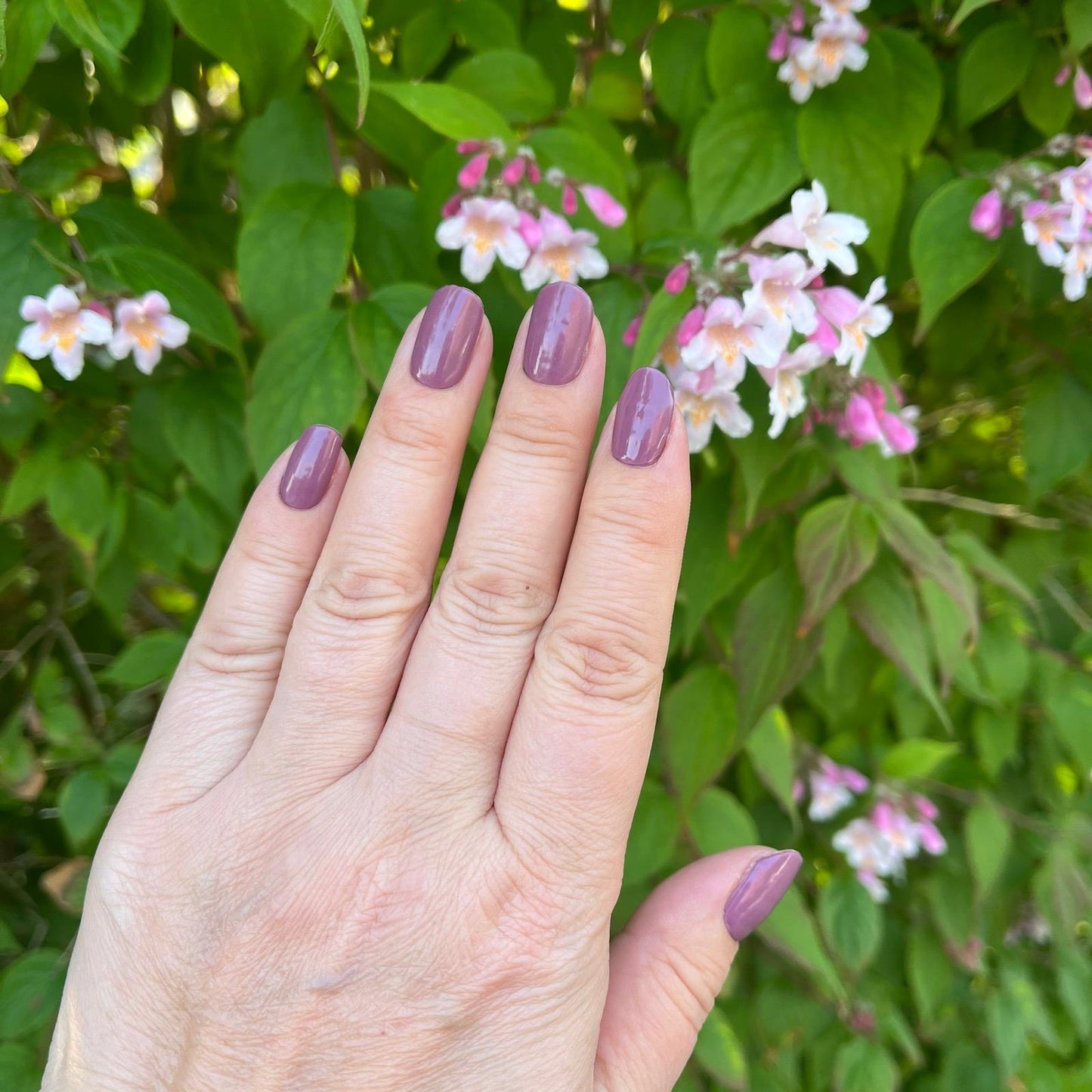 Mystical-Mauve-Gel-YellowSnails