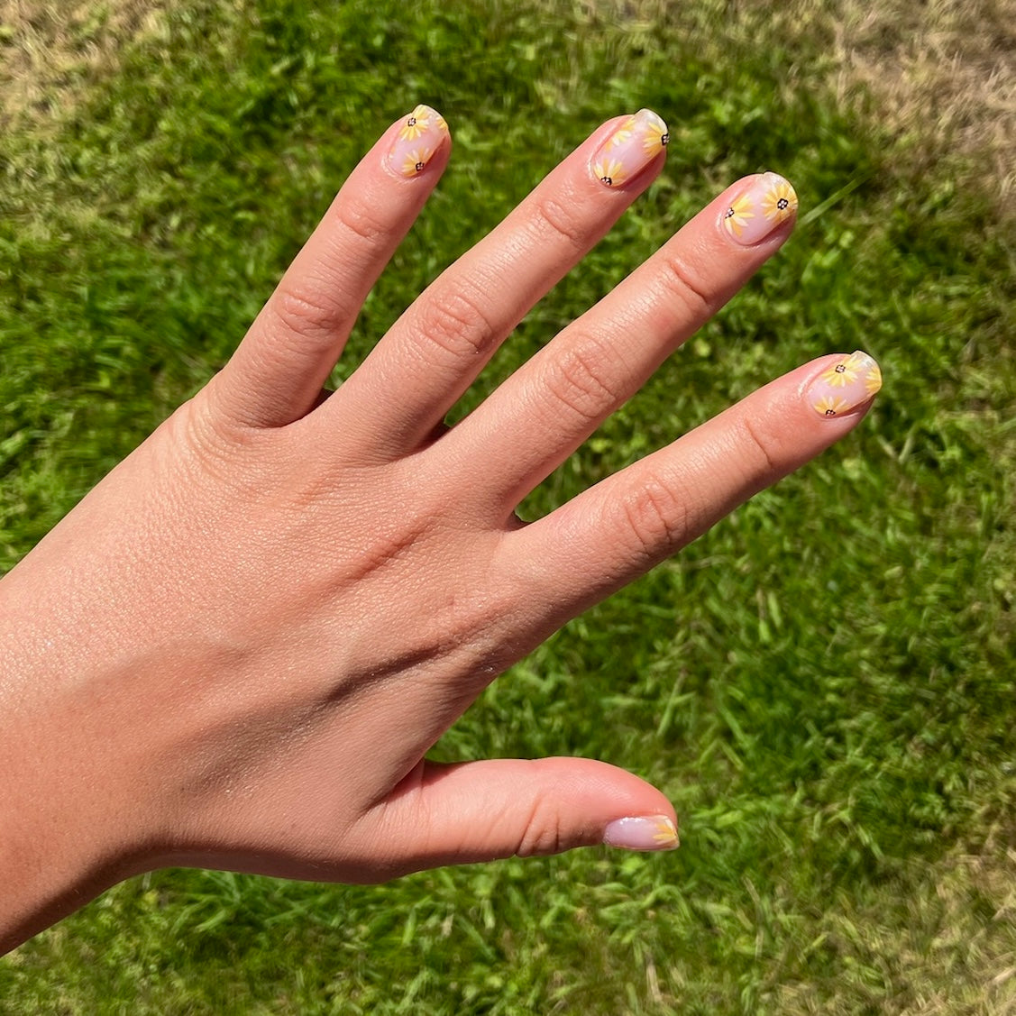 Sunflower Field Gel YellowSnails sunflower-field-gel-yellowsnails
