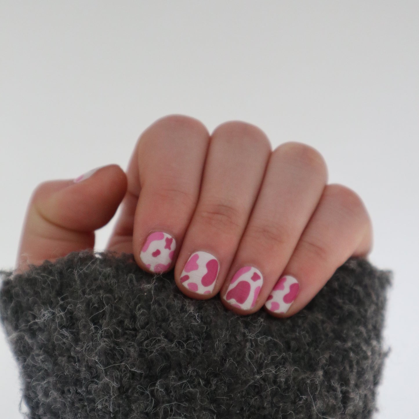 Pink-Cow-YellowSnails2