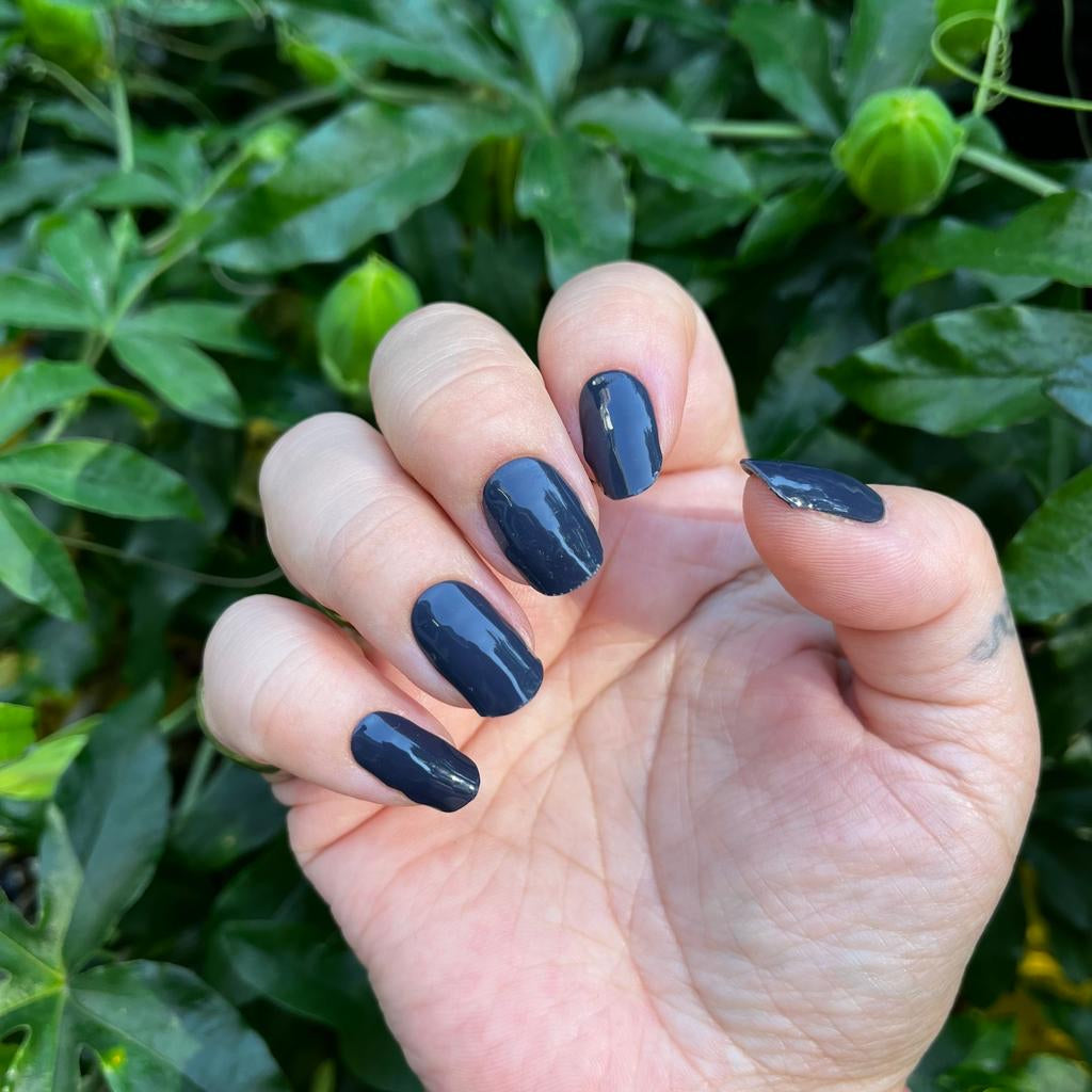 Navy-Blue-YellowSnails