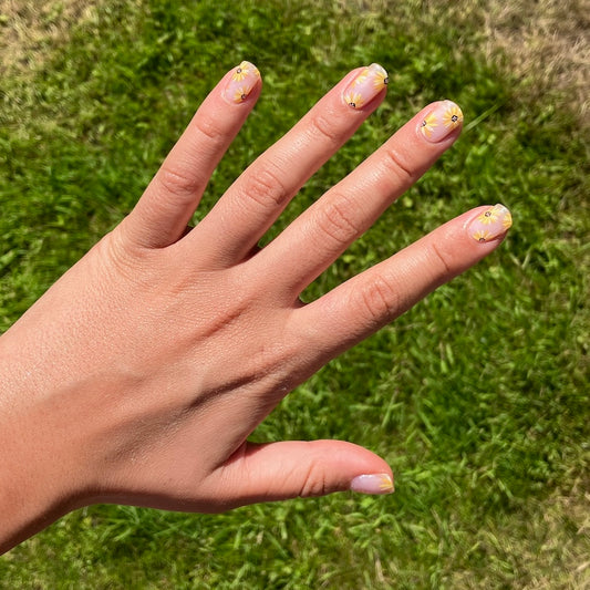 Sunflower-Field-Gel-YellowSnails