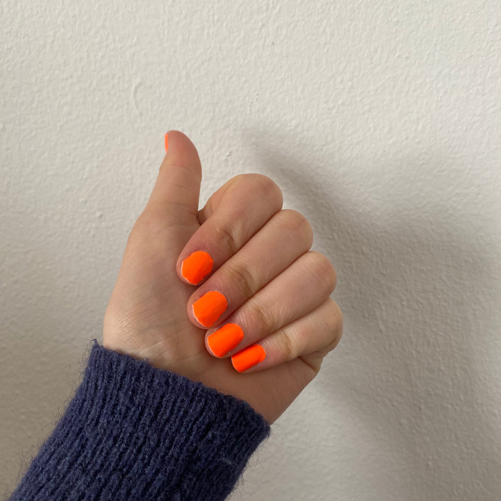 Dutch-Orange-YellowSnails2