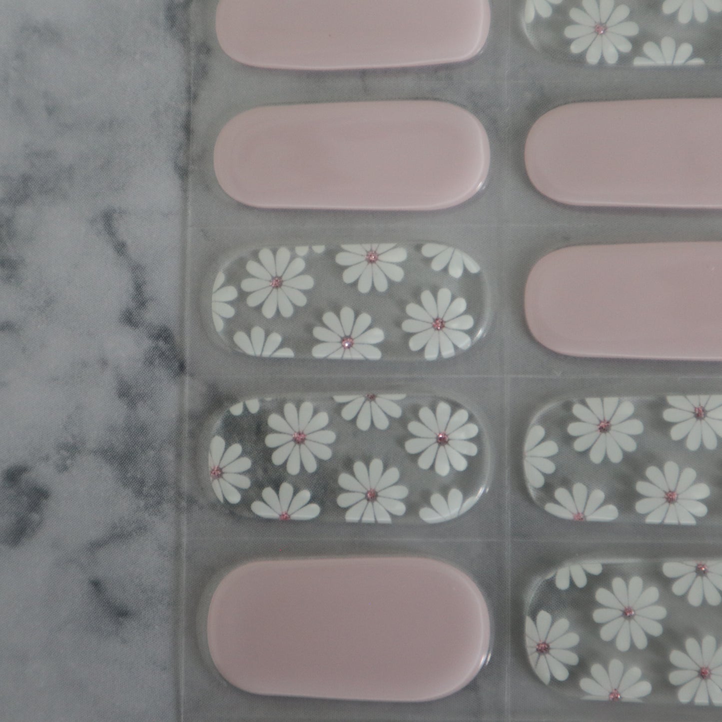 Gentle-Daisies-YellowSnails3